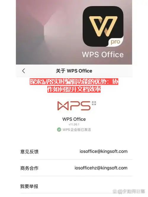 11355_wp8j_5514.jpg
